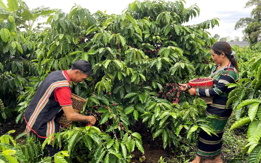How Cambodia and Thailand are Transforming Their Food Systems