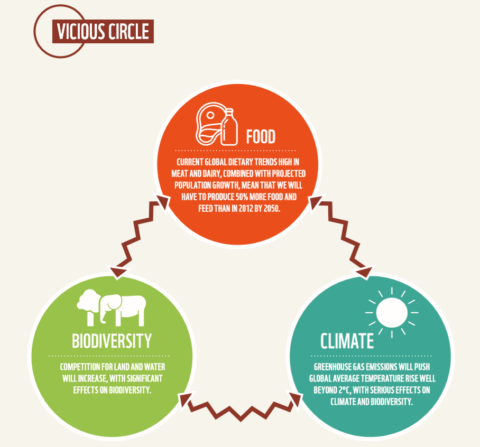 Agrobiodiversity For Food Security