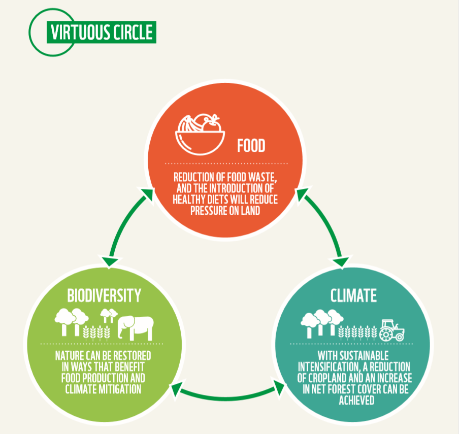 Agrobiodiversity For Food Security