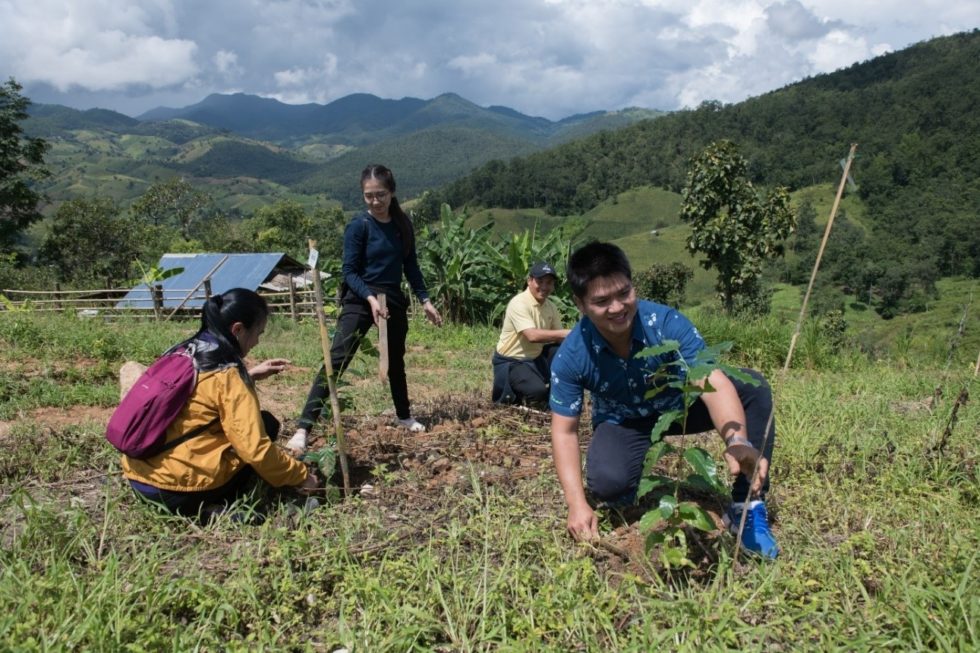 Reforestation in Chiang Mai