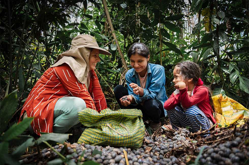 Want food systems that benefit people, planet and prosperity? Root them in equity