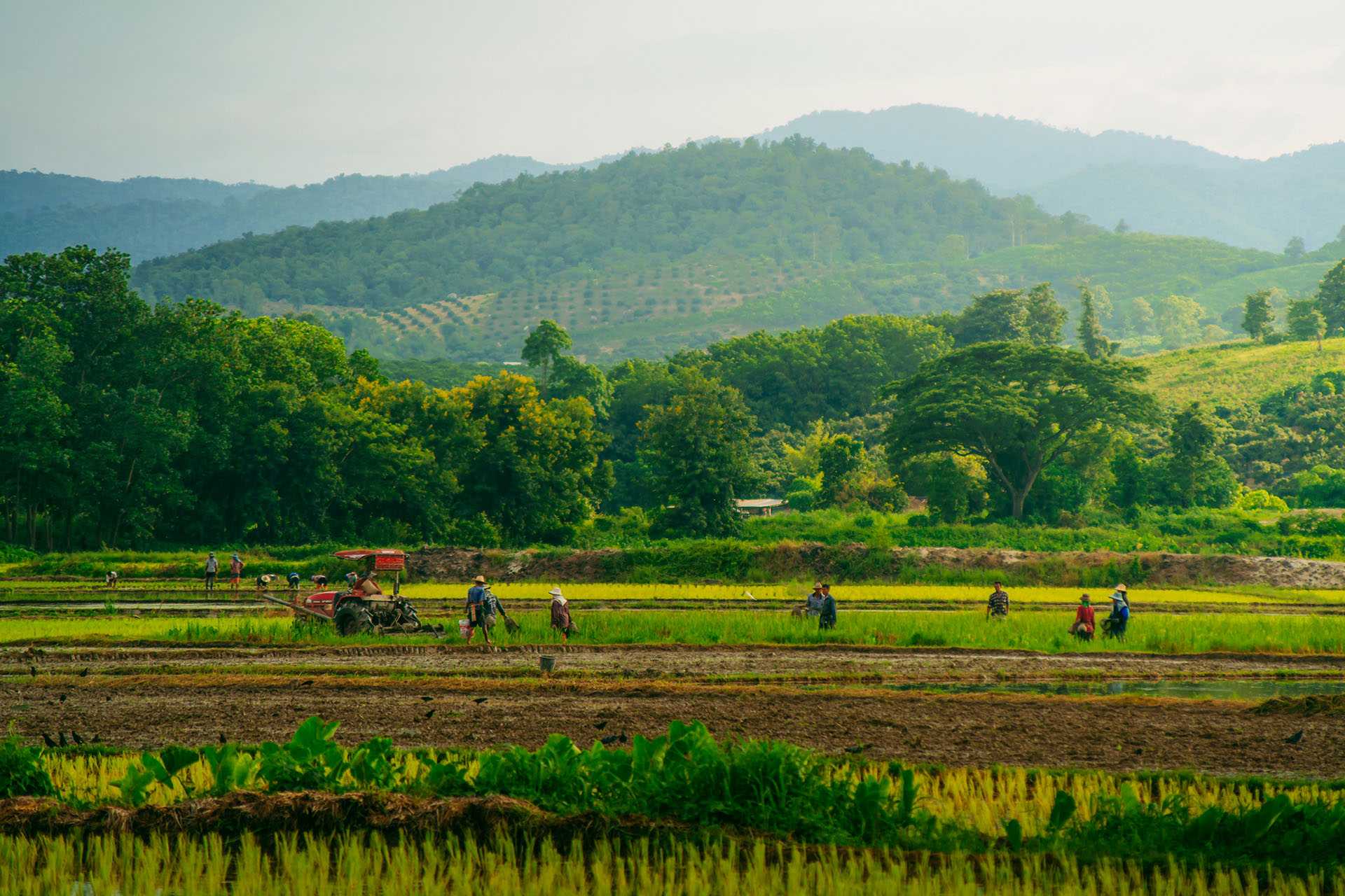 wathanyu-chomchuen-aZYchVXBWgw-unsplash